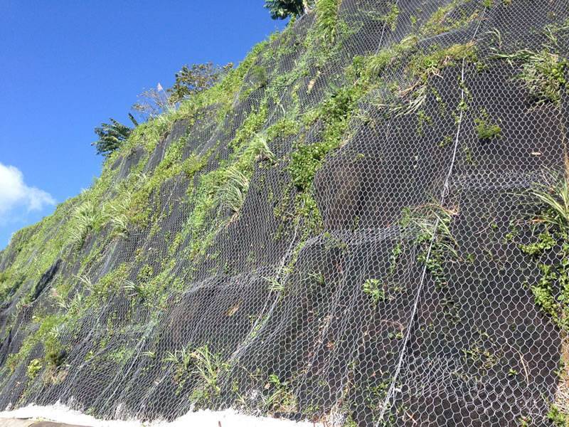 Hexagonal wire rope net covers a hill on a slope.