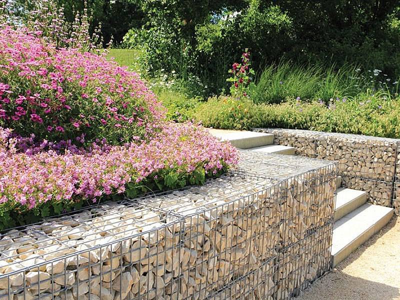Two gabion planters in the garden and several flowers in them.