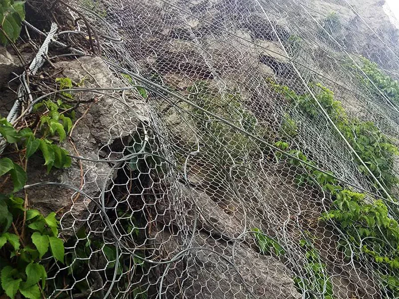 Система защиты от камнепадов с кольцевой сеткой установлена для предотвращения камнепадов.